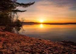 Stany Zjednoczone, Stan New Hampshire, Jezioro Lake Winnipesaukee, Plaża Leavitt Beach, Wschód słońca, Drzewa
