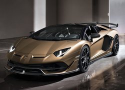 Lamborghini Aventador SVJ, 2020