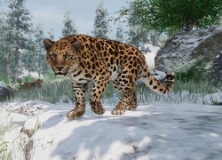 Lampart amurski w grze Planet Zoo