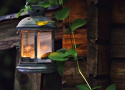 Lampion z dekoracyjną gałązką na ścianie