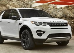 Land Rover Discovery Sport przód