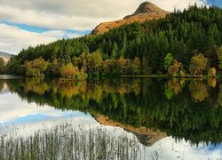 Las i góra Pap of Glencoe nad jeziorem w Szkocji