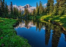 Stany Zjednoczone, Stan Waszyngton, Park Narodowy Mount Rainier, Jezioro  Las, Drzewa, Rzeka, Góry, Odbicie