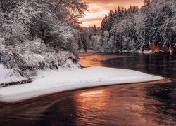 Las, Śnieg, Rzeka, Ośnieżone, Drzewa, Zima