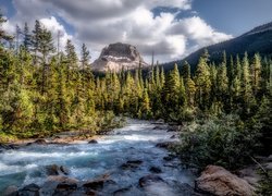 Park Narodowy Yoho, Góry, Wapta Mountain, Rzeka, Drzewa, Chmury, Prowincja Kolumbia Brytyjska, Kanada