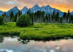 Stany Zjednoczone, Wyoming, Park Narodowy Grand Teton, Góry, Rzeka, Las, Drzewa, Zachód słońca