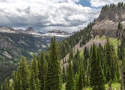 Las państwowy Caribou-Targhee National Forest