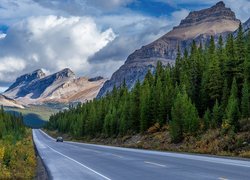 Góry Skaliste, Droga, Samochód, Las, Drzewa, Świerki, Prowincja Alberta, Kanada