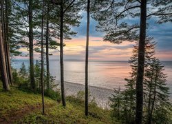 Wschód słońca, Drzewa, Sosny, Jezioro, Lake Superior, 
Plaża, Miners Beach, Michigan, Stany Zjednoczone