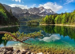 Las wokół jeziora Eibsee z górującym szczytem Zugspitze w Alpach Bawarskich