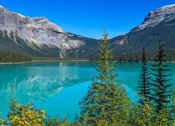 Góry, Jezioro, Emerald Lake, Świerki, Park Narodowy Yoho, Kolumbia Brytyjska, Kanada
