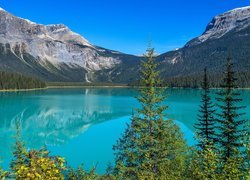 Las wokół jeziora Emerald Lake w Parku Narodowym Yoho