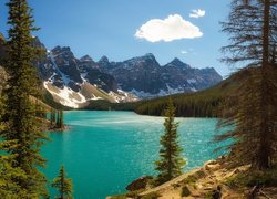 Góry, Drzewa, Jezioro, Moraine Lake, Park Narodowy Banff, Alberta, Kanada
