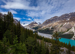 Kanada, Prowincja Alberta, Park Narodowym Banff, Jezioro, Peyto Lake, Góry, Las, Drzewa