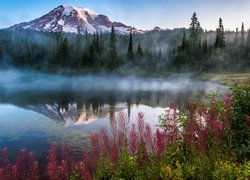 Park Narodowy Mount Rainier, Góry, Stratowulkan Mount Rainier, Mgła, Jezioro, Trawy, Drzewa, Stan Waszyngton, Stany Zjednoczone