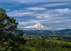 Stany Zjednoczone, Stan Oregon, Góra, Stratowulkan, Mount Hood, Drzewa