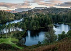 Lasy nad jeziorem w Parku Narodowym Lake District w Anglii