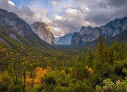 Park Narodowy Yosemite, Kalifornia, Stany Zjednoczone, Drzewa, Góry