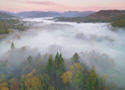 Lasy w Parku Narodowym Lake District we mgle
