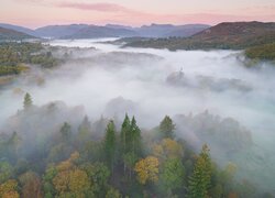 Lasy, Drzewa, Mgła, Wzgórza, Park Narodowy Lake District, Kumbria, Anglia