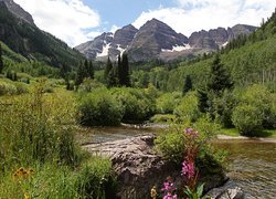 Lasy White River National Forest z widokiem na szczyty Maroon Bells