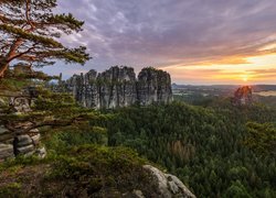 Lasy wokół formacji skalnej Bastei w Niemczech