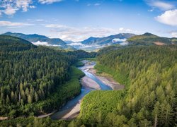 Stany Zjednoczone, Stan Waszyngton, Park Narodowy Olympic, Rzeka, Elwha River, Góry, Olympic Mountains, Lasy, Zielone, Drzewa