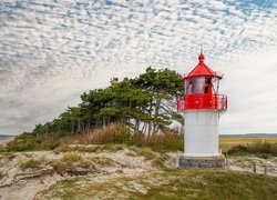 Latarnia morska Gellen, Drzewa, Morze Bałtyckie, Wyspa Hiddensee, Niemcy