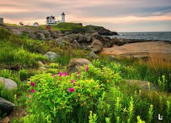 Morze, Wybrzeże, Latarnia morska, Nubble Lighthouse, Skały, Rośliny, Cape Neddick, Maine, Stany Zjednoczone
