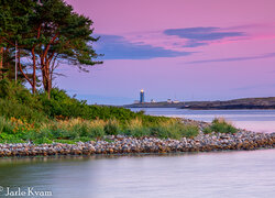 Morze, Latarnia morska, Store Torungen Lighthouse, Park Narodowy Raet, Drzewa, Rośliny, Kamienie, Wyspie Store Torungen, Gmina, Arendal, Okręg Agder, Norwegia