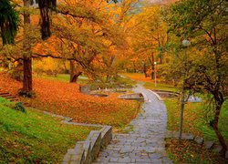 Jesień, Drzewa, Latarnie, Park, Chodnik
