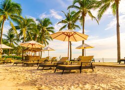 Lato, Wakacje, Leżaki, Parasole, Palmy, Plaża, Tropiki