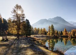 Ławeczka nad brzegiem jeziora