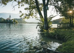 Słowenia, Wyspa Blejski Otok, Góry Alpy Julijskie, Jezioro Bled, Promienie słońca, Drzewa, Kościół Zwiastowania Marii Panny, Ławka