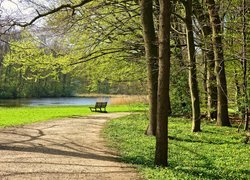 Ławeczka nad stawem w parku wiosenną porą