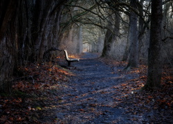 Jesień, Park, Alejka, Ławka, Drzewa