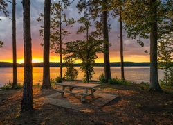 Ławeczka ze stolikiem w lesie nad jeziorem West Point Lake