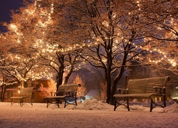 Ławeczki w zimowym parku i świątecznie oświetlone drzewa