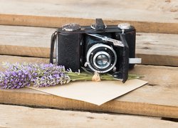 Lawenda obok aparatu fotograficznego na deskach