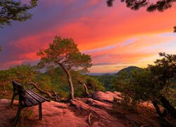 Ławka i drzewa na skałach pod kolorowym niebem zachodzącego słońca