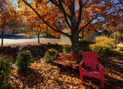 Ławka i krzesło ogrodowe pod jesiennym dębem