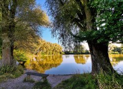 Ławka i rozświetlone jesienne drzewa nad jeziorem