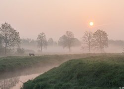 Ławka na brzegu zamglonej rzeki o poranku