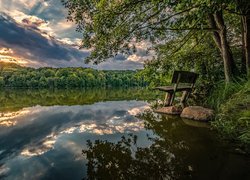 Ławka na kamieniach pod drzewem nad jeziorem