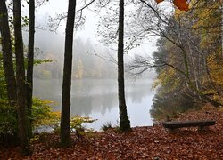 Ławka na opadłych liściach przy brzegu zamglonego jeziora