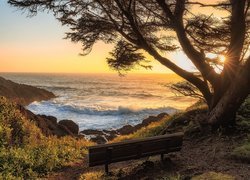 Ławka nad brzegiem Pacyfiku na południe od Whale Cove w Oregonie