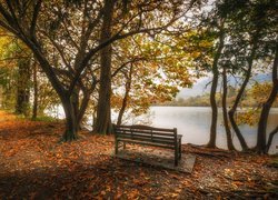 Wielka Brytania, Anglia, Kumbria, Lake District, Park, Ścieżka, Drzewa, Ławka, Jezioro Coniston Water, Jesień