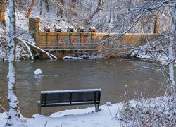 Zima, Rzeka, Don River, Mur, Drzewa, Aberdeen, Szkocja