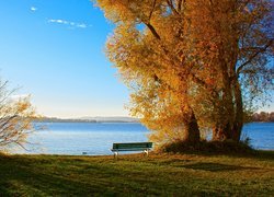 Jesień, Jezioro, Drzewa, Trawa, Ławka