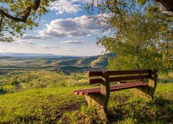 Ławka pod drzewem z widokiem na pola w Vogtsburg